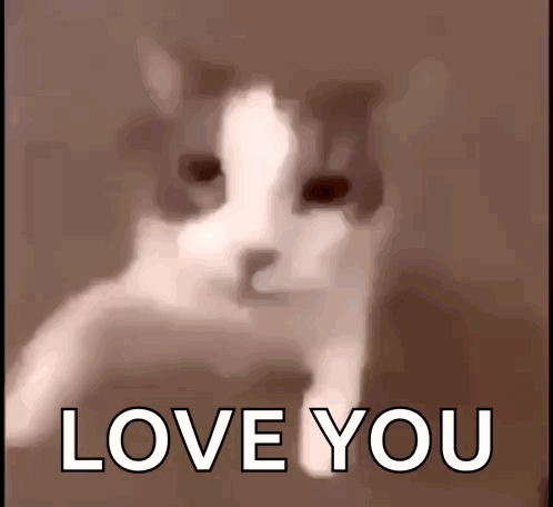 Happy gif